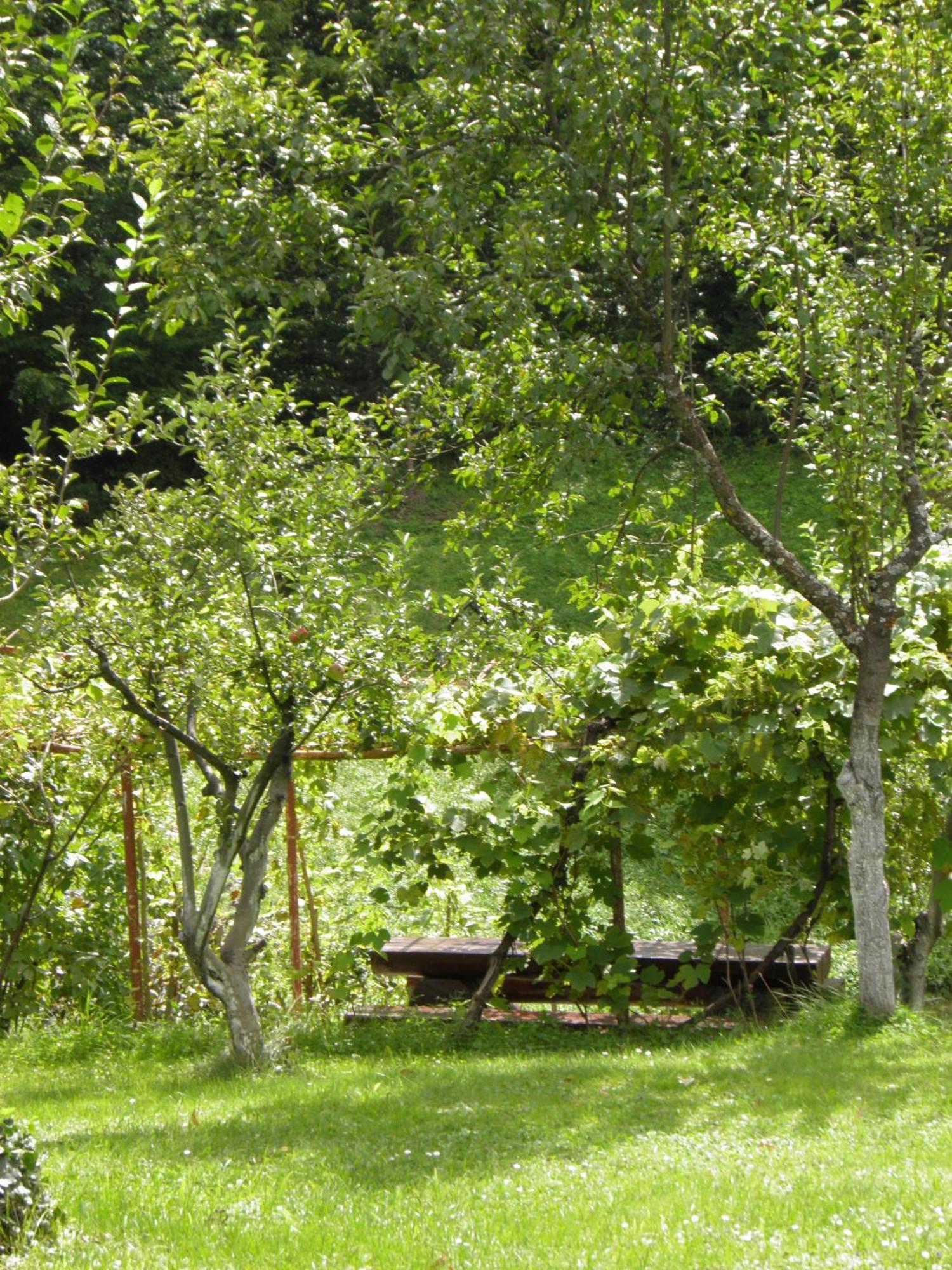 Hotel House Janja Plitvice Seliste Dreznicko Exteriér fotografie